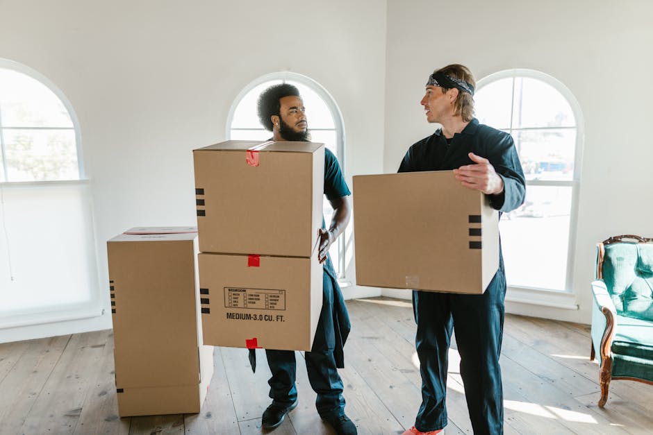 A professional removal team from Removal Company Islington is shown in a well-lit, spacious room with large, arched windows allowing natural light to illuminate the area. One mover, standing near the 